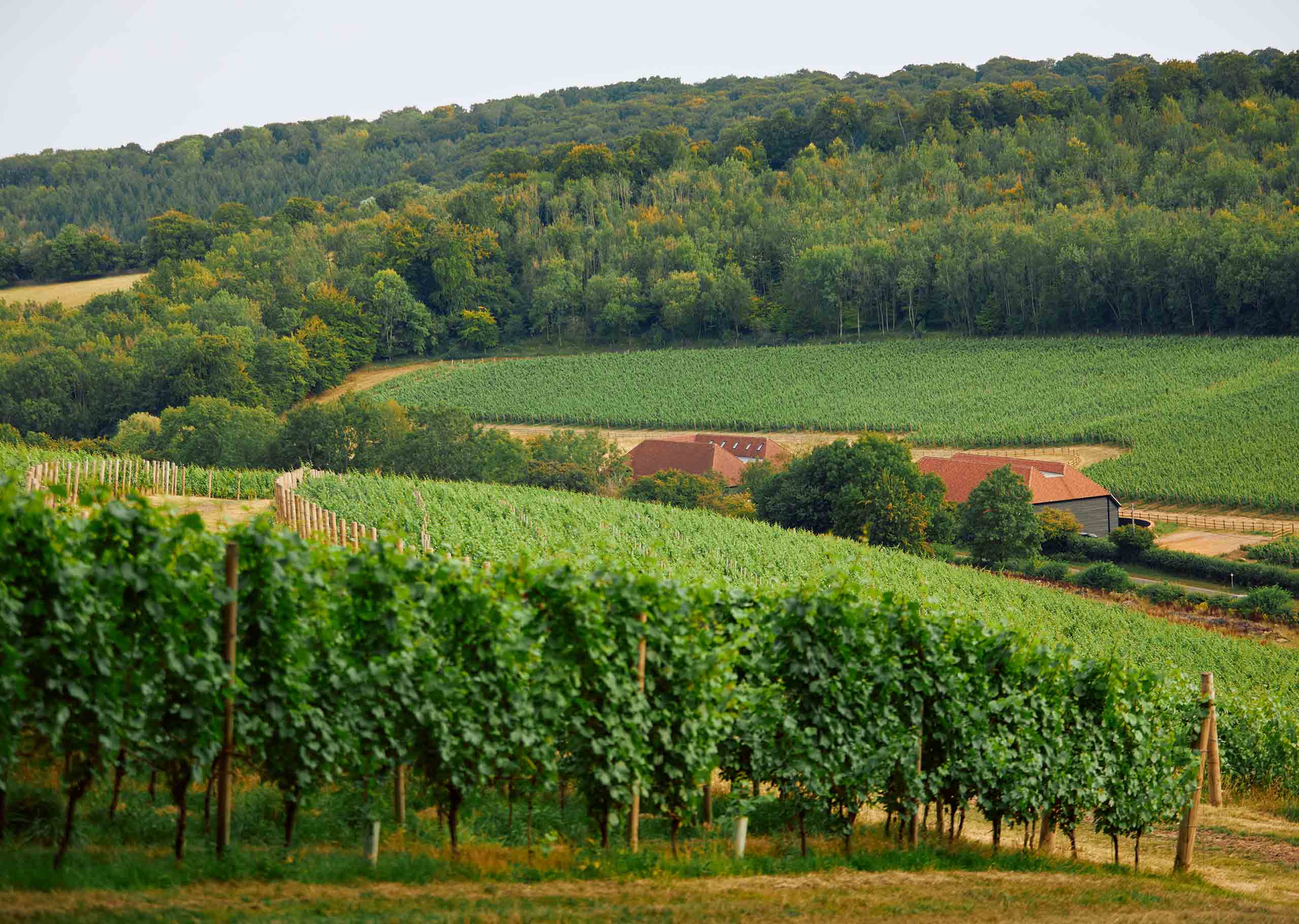 Hundred_Hills_Contact_Header-2559×1820