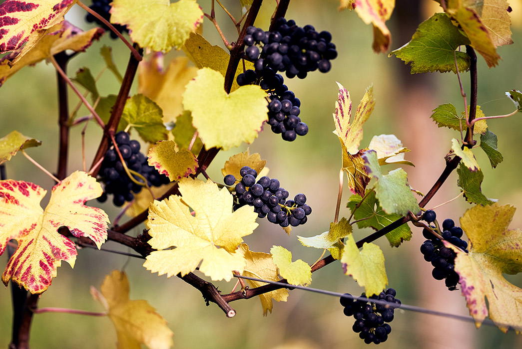 Hundred_Hills_ENQUIRIES BLOCK 1