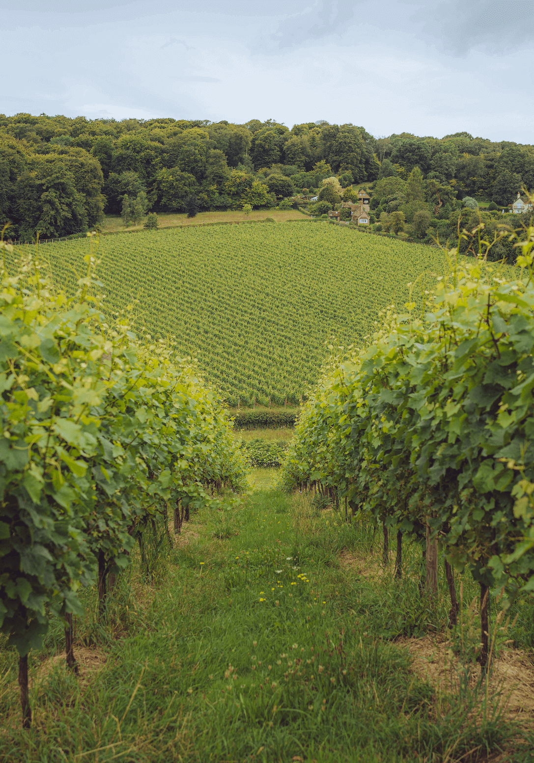 Screenshot 2024-07-30 at 17.04.46