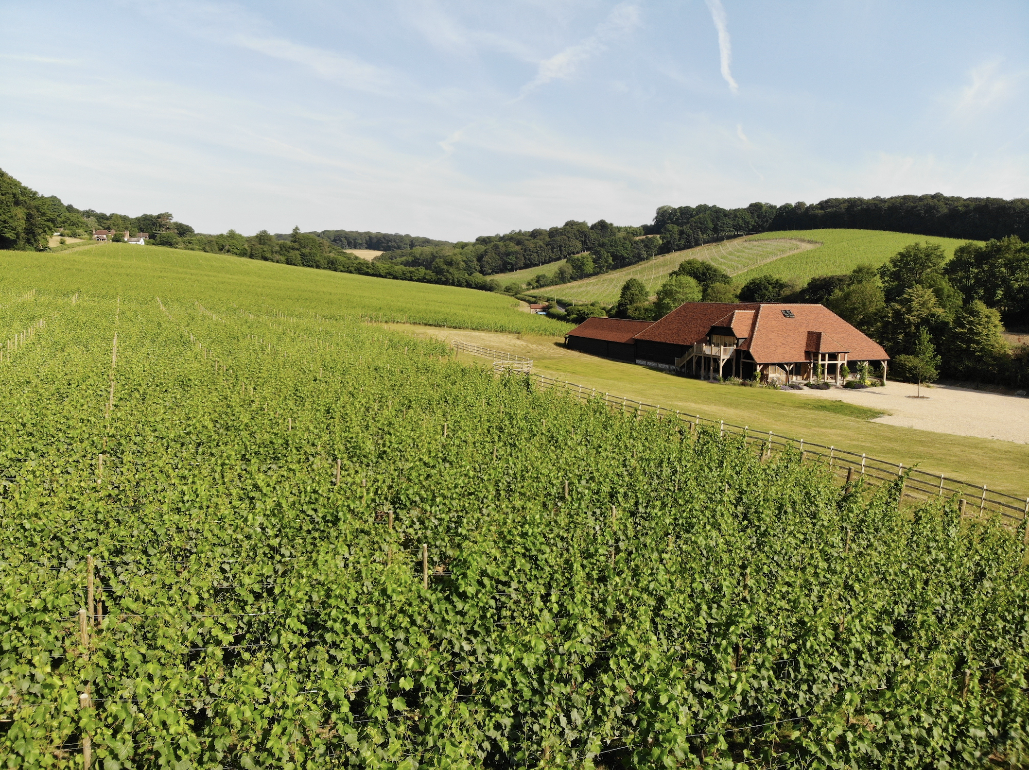 Hundred Hills Vineyards