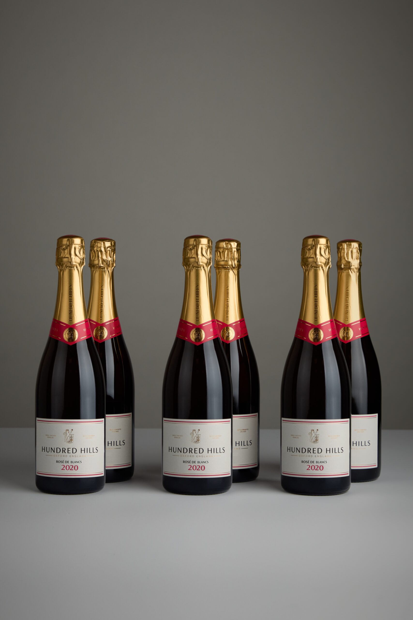 Rose de Blancs v
