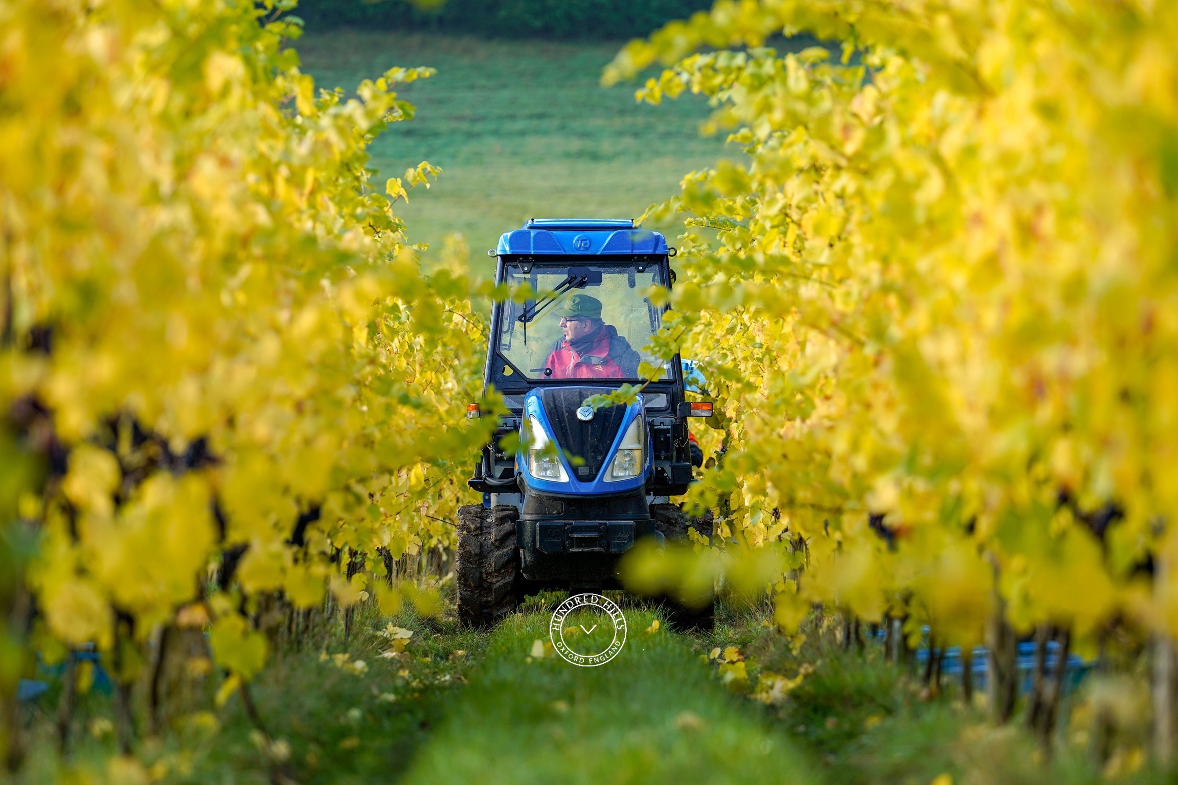 Tinny – Tractor