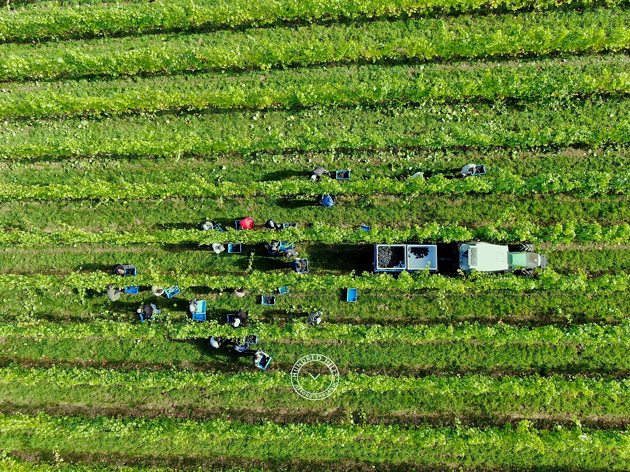 Tiny – BirdView